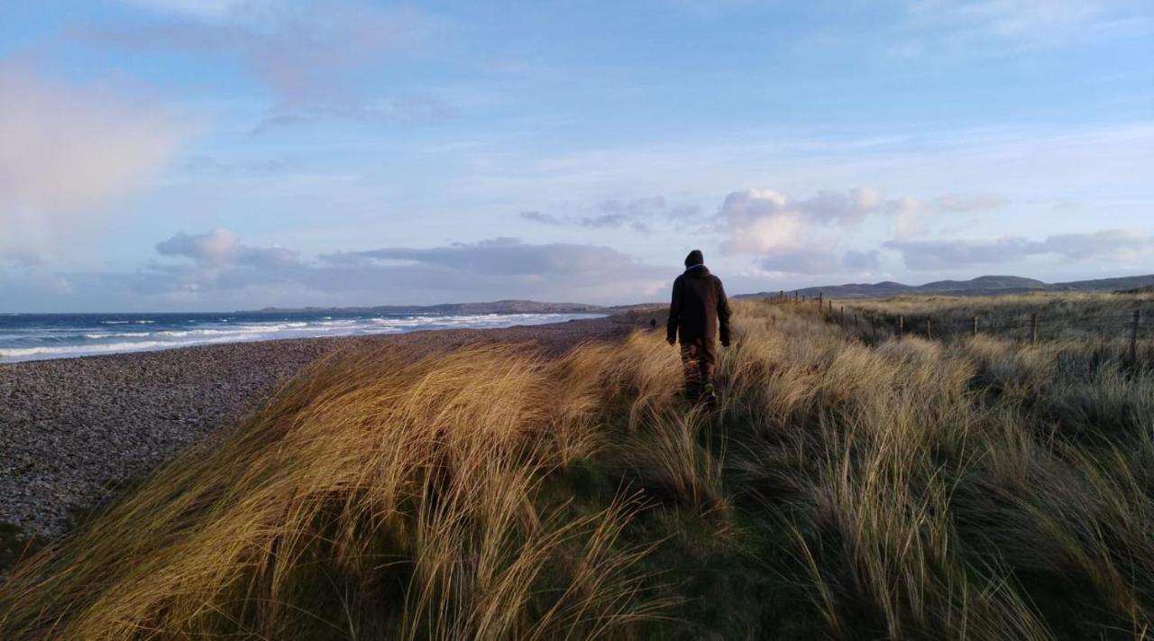 Madra Rua Organic Ballyliffin