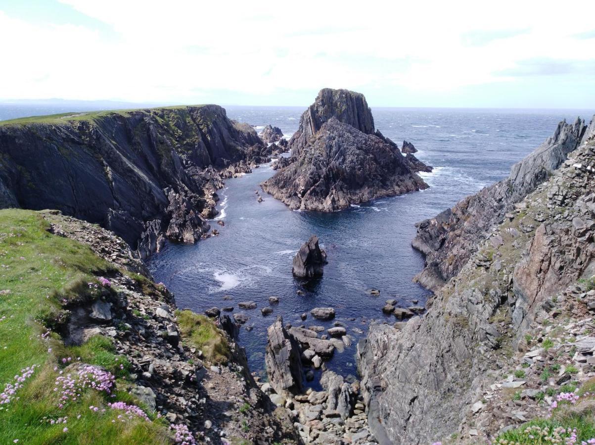 Madra Rua Organic Ballyliffin