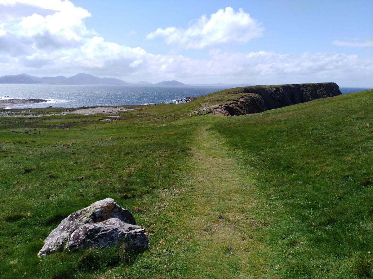 Madra Rua Organic Ballyliffin