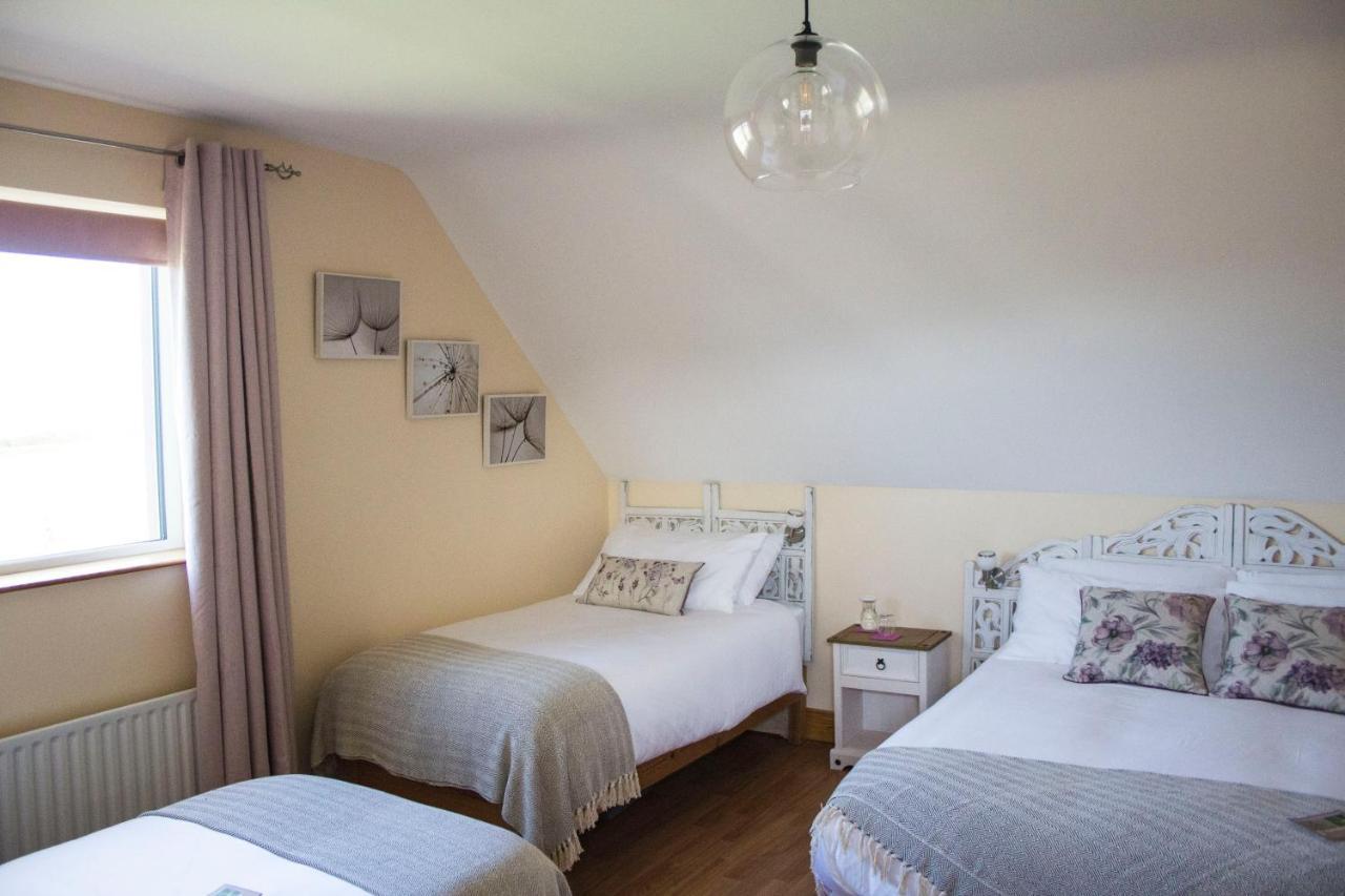 Madra Rua Organic 3* Ballyliffin
