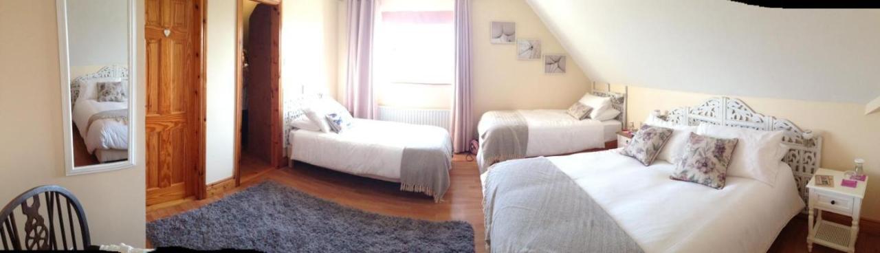 Bed & Breakfast Madra Rua Organic
